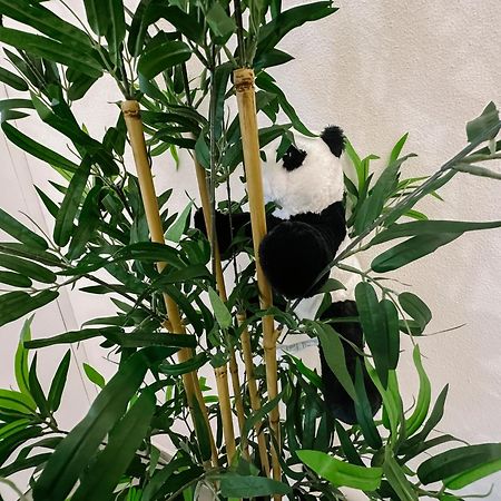 Centro Storico Spina Green House ピサ エクステリア 写真